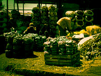 Addis Ababa: Ethiopia