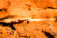 Sedona: Arizona